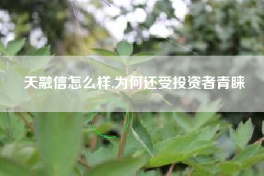 天融信怎么样,为何还受投资者青睐