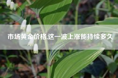 市场黄金价格,这一波上涨能持续多久