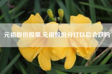 元祖股份股票,元祖股份分红以后会跌吗