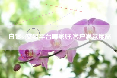 白银td交易平台哪家好,客户满意度高