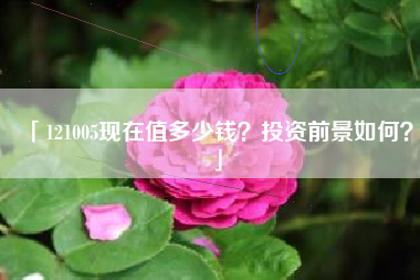 「121005现在值多少钱？投资前景如何？」