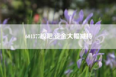 601377股吧,资金大幅减持