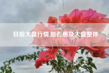 目前大盘行情,能否惠及大盘整体