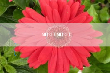601211,601211