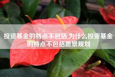 投资基金的特点不包括,为什么投资基金的特点不包括愿景规划