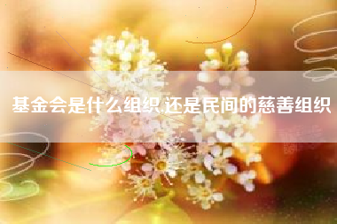 基金会是什么组织,还是民间的慈善组织