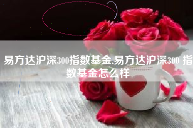 易方达沪深300指数基金,易方达沪深300 指数基金怎么样