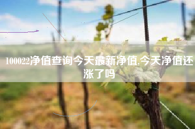 100022净值查询今天最新净值,今天净值还涨了吗