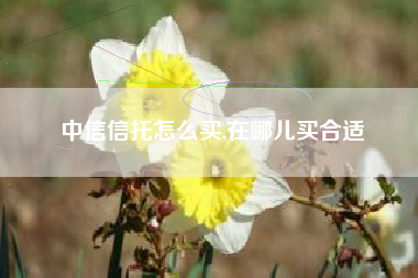 中信信托怎么买,在哪儿买合适