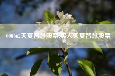 000662天夏智慧股票,买入天夏智慧股票