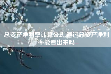 总资产净利率计算公式,通过总资产净利率能看出来吗
