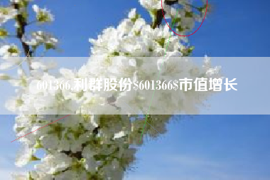 601366,利群股份$601366$市值增长