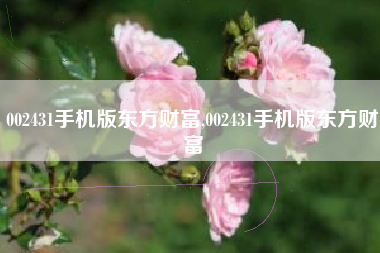 002431手机版东方财富,002431手机版东方财富