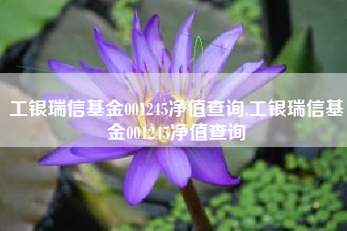工银瑞信基金001245净值查询,工银瑞信基金001245净值查询