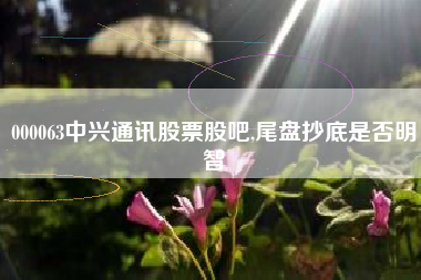 000063中兴通讯股票股吧,尾盘抄底是否明智