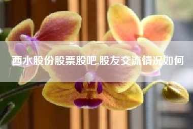 西水股份股票股吧,股友交流情况如何