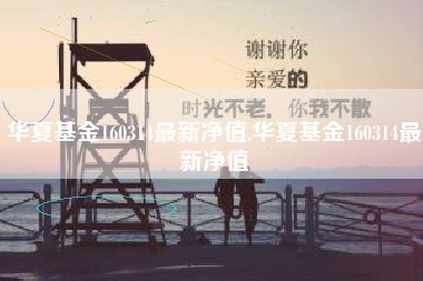 华夏基金160314最新净值,华夏基金160314最新净值