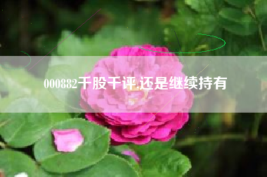 000882千股千评,还是继续持有
