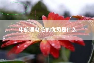 中航锂电,它的优势是什么