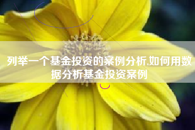 列举一个基金投资的案例分析,如何用数据分析基金投资案例
