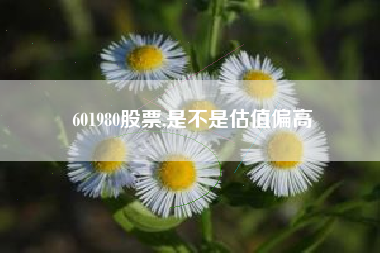601980股票,是不是估值偏高