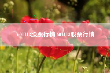 601113股票行情,601113股票行情
