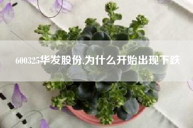 600325华发股份,为什么开始出现下跌