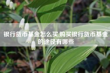 银行货币基金怎么买,购买银行货币基金的途径有哪些