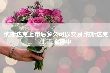 纳斯达克上市后多久可以交易,纳斯达克上市流程中