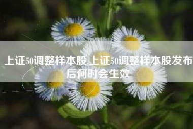 上证50调整样本股,上证50调整样本股发布后何时会生效