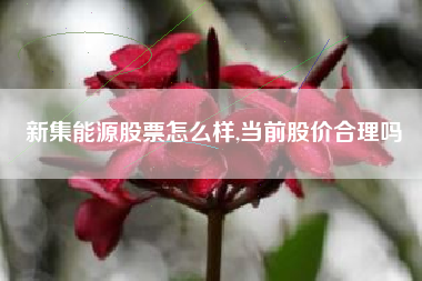 新集能源股票怎么样,当前股价合理吗