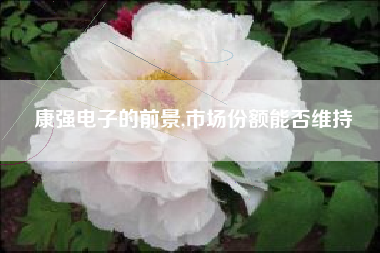 康强电子的前景,市场份额能否维持