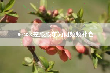 002388,控股股东为何频频补仓