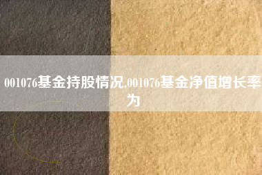 001076基金持股情况,001076基金净值增长率为