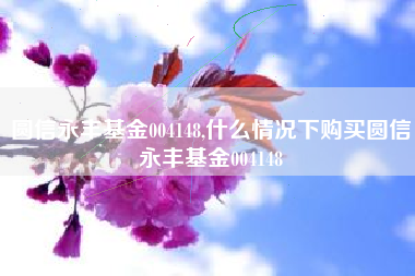圆信永丰基金004148,什么情况下购买圆信永丰基金004148