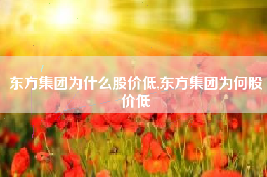 东方集团为什么股价低,东方集团为何股价低