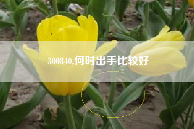 300840,何时出手比较好