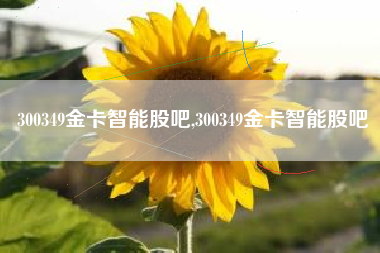 300349金卡智能股吧,300349金卡智能股吧