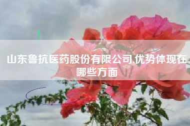 山东鲁抗医药股份有限公司,优势体现在哪些方面