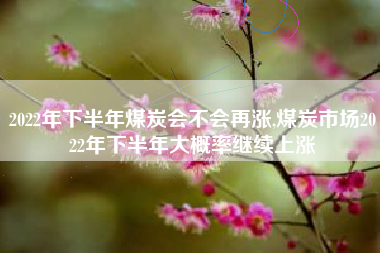 2022年下半年煤炭会不会再涨,煤炭市场2022年下半年大概率继续上涨