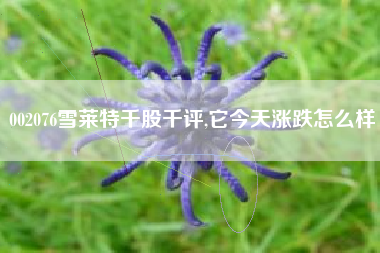 002076雪莱特千股千评,它今天涨跌怎么样