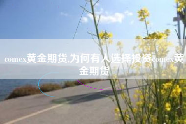 comex黄金期货,为何有人选择投资comex黄金期货