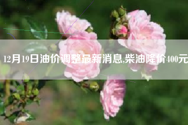 12月19日油价调整最新消息,柴油降价400元