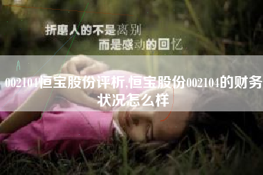 002104恒宝股份评析,恒宝股份002104的财务状况怎么样