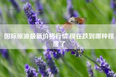 国际原油最新价格行情,现在跌到哪种程度了