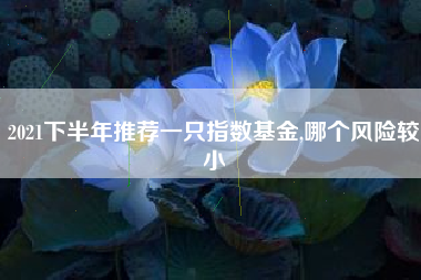 2021下半年推荐一只指数基金,哪个风险较小