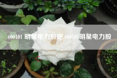 600101 明星电力股吧,600101明星电力股