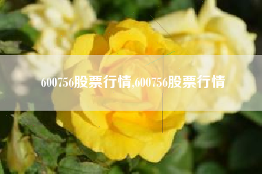 600756股票行情,600756股票行情