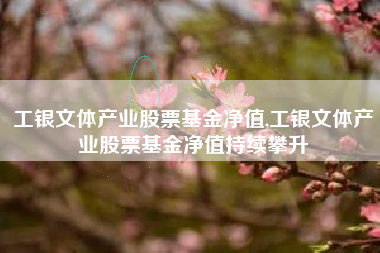 工银文体产业股票基金净值,工银文体产业股票基金净值持续攀升