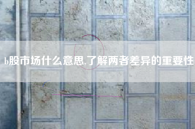 b股市场什么意思,了解两者差异的重要性